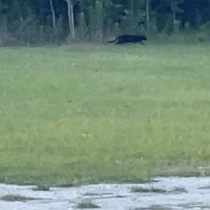 Meet your Posher, Jeffrey